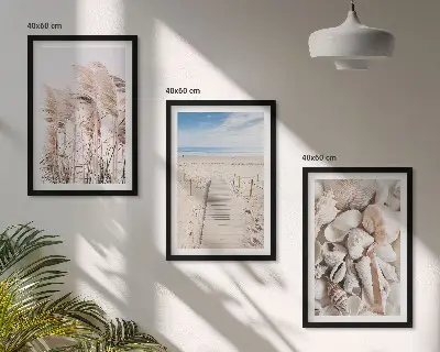 Zestaw 3 obrazów do salonu motyw plaży z muszlami i trawą nadmorską