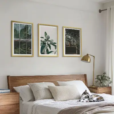 Zestaw 3 obrazów do salonu Zielone liście w oknie rośliny