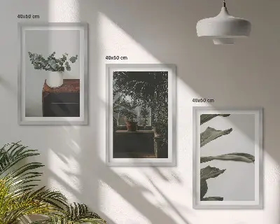 Zestaw 3 obrazów do salonu z motywem roślin w doniczkach w stylu rustykalnym