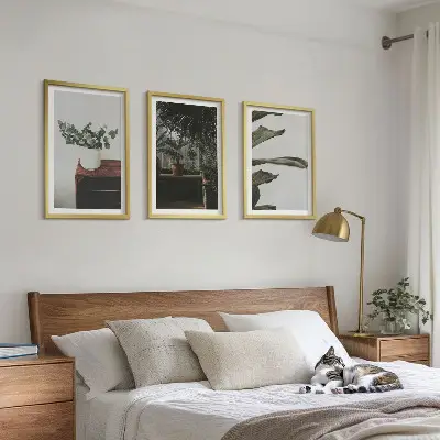 Zestaw 3 obrazów do salonu z motywem roślin w doniczkach w stylu rustykalnym