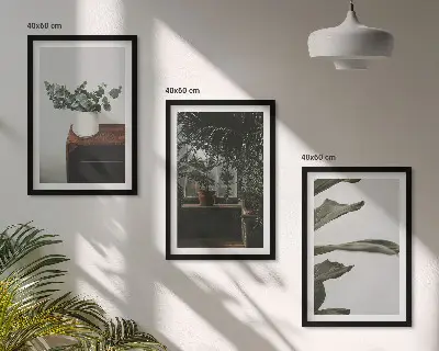 Zestaw 3 obrazów do salonu z motywem roślin w doniczkach w stylu rustykalnym