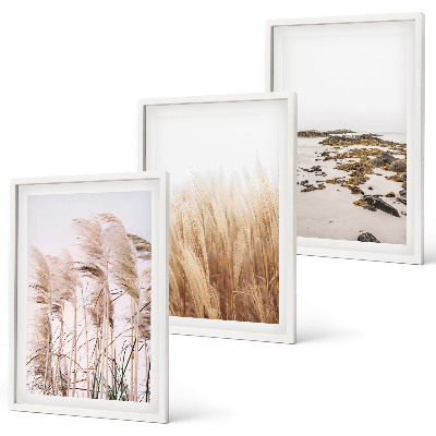 Kompozycja obrazów na ścianę Pola pampas traw i plaża boho