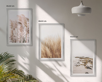 Kompozycja obrazów na ścianę Pola pampas traw i plaża boho