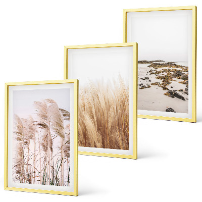 Kompozycja obrazów na ścianę Pola pampas traw i plaża boho