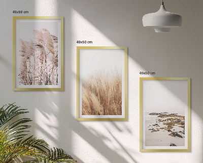 Kompozycja obrazów na ścianę Pola pampas traw i plaża boho