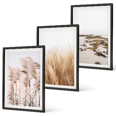 Kompozycja obrazów na ścianę Pola pampas traw i plaża boho