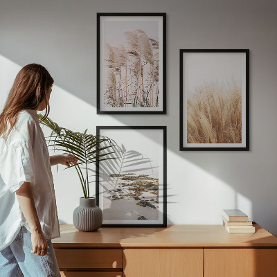Kompozycja obrazów na ścianę Pola pampas traw i plaża boho