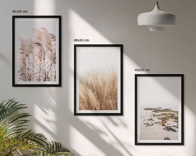 Kompozycja obrazów na ścianę Pola pampas traw i plaża boho