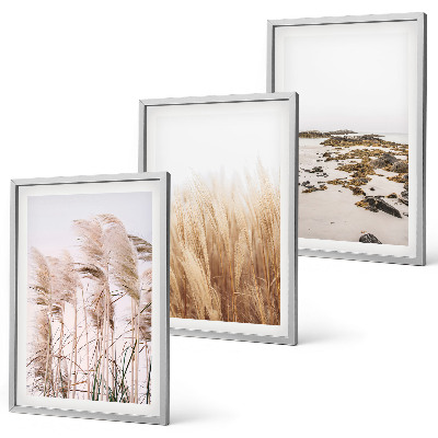Kompozycja obrazów na ścianę Pola pampas traw i plaża boho