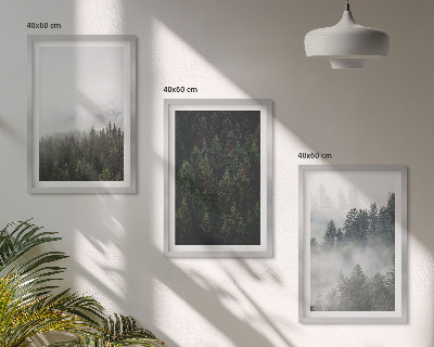 Kompozycja obrazów na ścianę Zielone lasy mgła natura