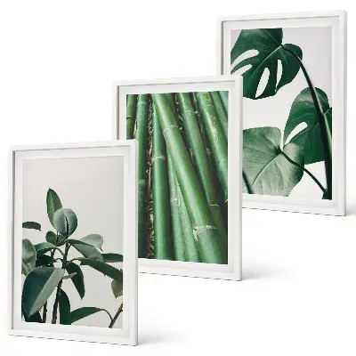 Zestaw obrazów do salonu Bambusowe łodygi i liście monstera