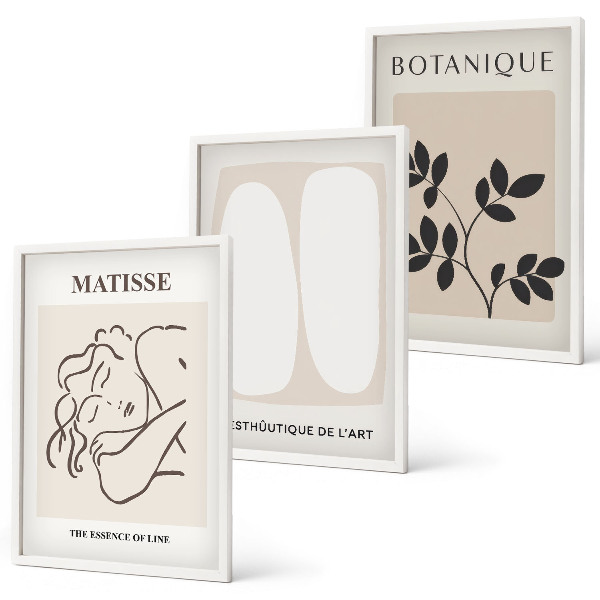 Zestaw 3 obrazów do salonu Stylowe obrazy roślinne Matisse