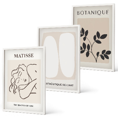 Zestaw 3 obrazów do salonu Stylowe obrazy roślinne Matisse