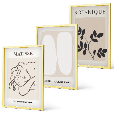 Zestaw 3 obrazów do salonu Stylowe obrazy roślinne Matisse