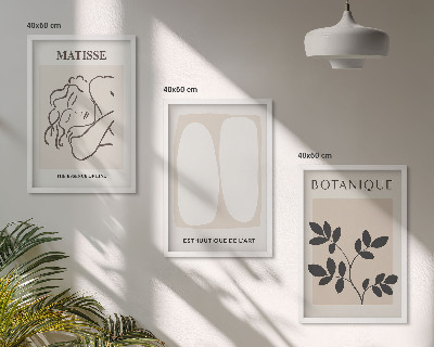 Zestaw 3 obrazów do salonu Stylowe obrazy roślinne Matisse