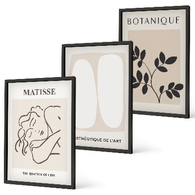 Zestaw 3 obrazów do salonu Stylowe obrazy roślinne Matisse