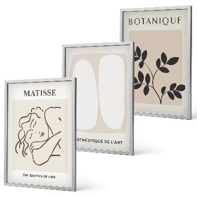 Zestaw 3 obrazów do salonu Stylowe obrazy roślinne Matisse