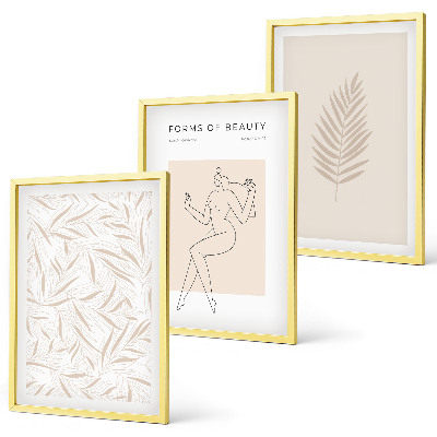 Zestaw 3 obrazów do salonu Motywy minimalistyczne botaniczne
