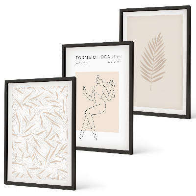 Zestaw 3 obrazów do salonu Motywy minimalistyczne botaniczne