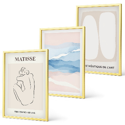 Zestaw 3 obrazów do salonu Abstrakcyjne formy Matisse