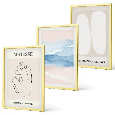 Abstrakcyjne formy Matisse zestaw 3 obrazów do salonu
