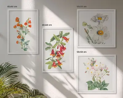 Zestaw obrazów dekoracyjnych kwiatowe malarstwo w stylu retro