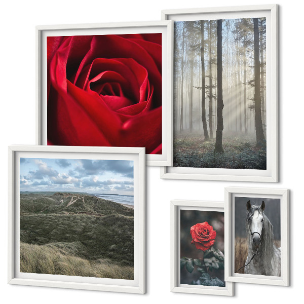 Galeria obrazów na ścianę Przyroda kwiaty różne style