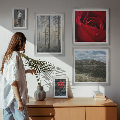 Galeria obrazów na ścianę Przyroda kwiaty różne style