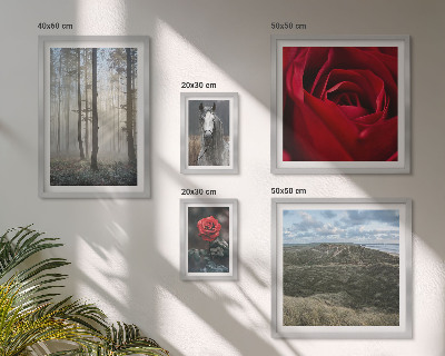 Galeria obrazów na ścianę Przyroda kwiaty różne style
