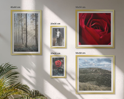 Galeria obrazów na ścianę Przyroda kwiaty różne style