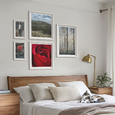 Galeria obrazów na ścianę Przyroda kwiaty różne style