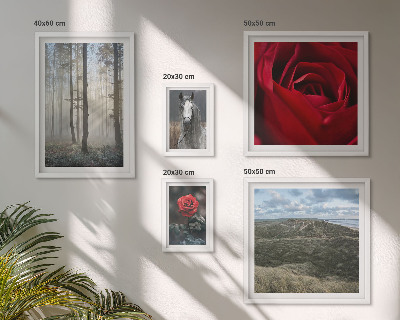 Galeria obrazów na ścianę Przyroda kwiaty różne style