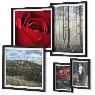 Galeria obrazów na ścianę Przyroda kwiaty różne style