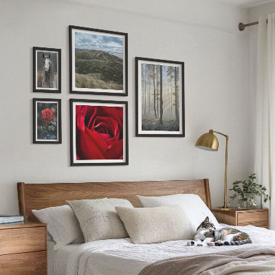 Galeria obrazów na ścianę Przyroda kwiaty różne style