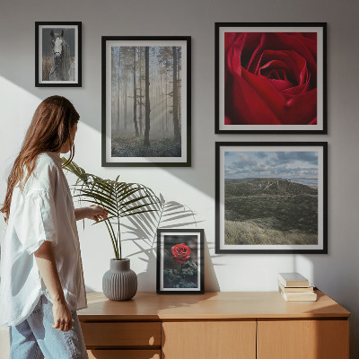 Galeria obrazów na ścianę Przyroda kwiaty różne style