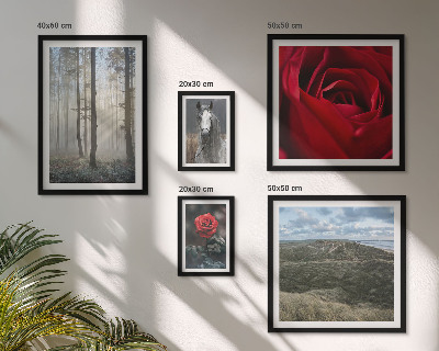 Galeria obrazów na ścianę Przyroda kwiaty różne style