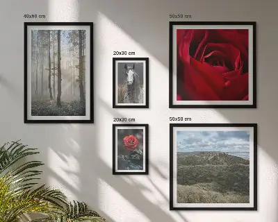 Galeria obrazów na ścianę z motywem przyrody i kwiatów w różnych stylach