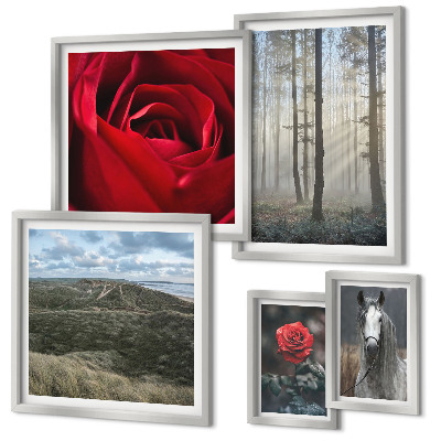 Galeria obrazów na ścianę Przyroda kwiaty różne style