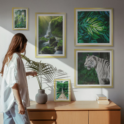 Zestaw 5 obrazów w ramie Tropikalne krajobrazy natura