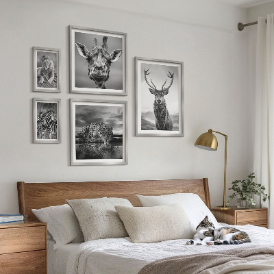 Galeria obrazów na ścianę Zwierzęta czarno-białe natura