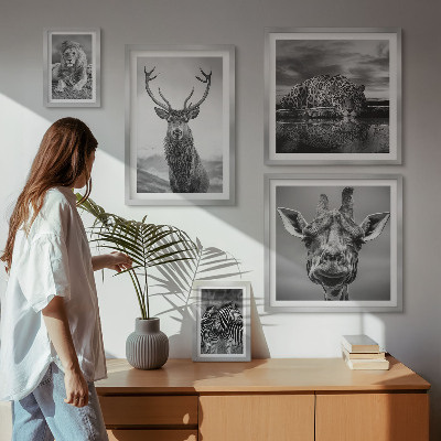 Galeria obrazów na ścianę Zwierzęta czarno-białe natura