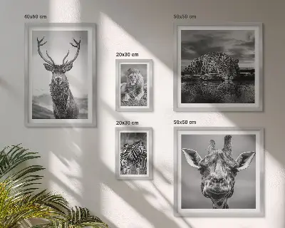 Galeria obrazów na ścianę z motywem zwierząt w czerni i bieli