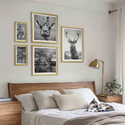 Galeria obrazów na ścianę Zwierzęta czarno-białe natura
