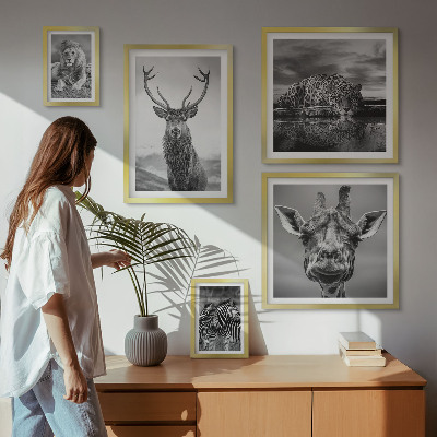 Galeria obrazów na ścianę Zwierzęta czarno-białe natura