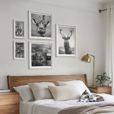 Galeria obrazów na ścianę Zwierzęta czarno-białe natura