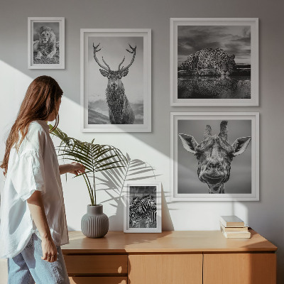 Galeria obrazów na ścianę Zwierzęta czarno-białe natura