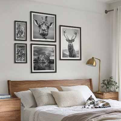 Galeria obrazów na ścianę Zwierzęta czarno-białe natura