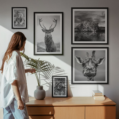 Galeria obrazów na ścianę Zwierzęta czarno-białe natura