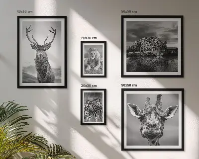 Galeria obrazów na ścianę z motywem zwierząt w czerni i bieli