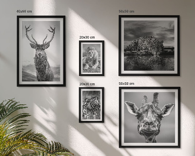 Galeria obrazów na ścianę Zwierzęta czarno-białe natura